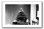 WRCR 3.0 Christmas tree